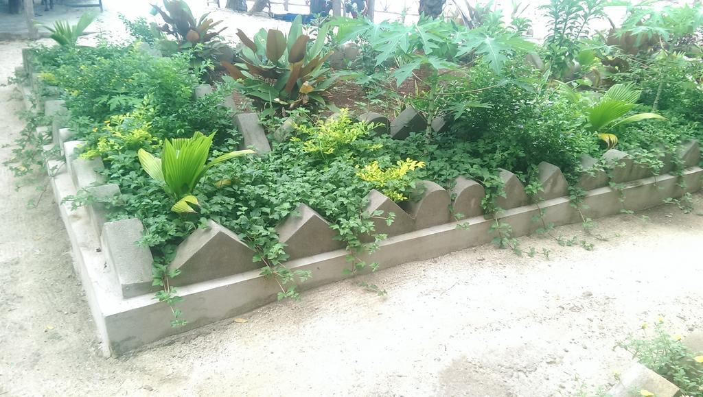 Union Beach Bungalow نونغوي المظهر الخارجي الصورة